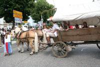 IMG_6491 (2) 